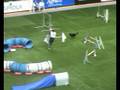 Polona Bonač & Šja - Agility WC Helsinki 2008