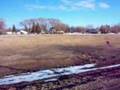 Land for sale in Magrath Alberta