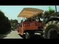 Camping Bungalow Park CALA GOGO