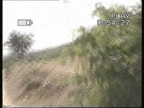 gaddi kutta
