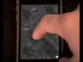 Koi Pond video