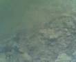 Handamade Spinnerbaits 2oz