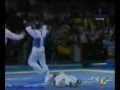 Tae kwan doe and judo