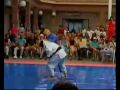Tae kwan doe and judo