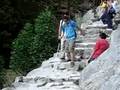 Mike's Geri Walk Down Misty Trails in Yosemite