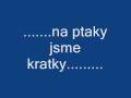 janek ledecky-vsechno bude fajn,na ptaky jsme kratky