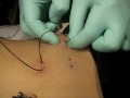 NEW! belt piercing-play piercing- part 3