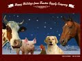 Tractor   Supply  Holiday Card