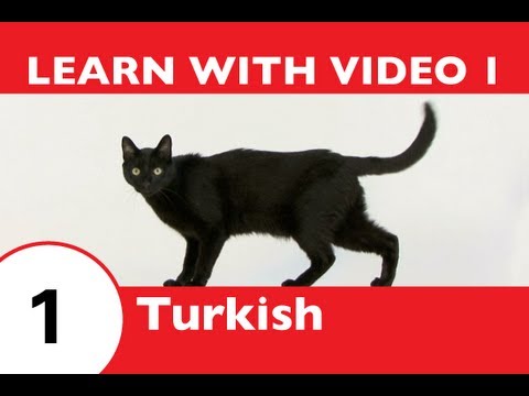 how to decide how much turkey to buy