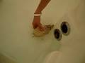 erizo de tierra bañandose