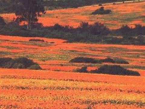 Namaqualand Travel & Tours Photo ...