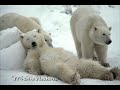 ?????ALASKA_6 ??????
