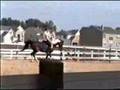 ZA Art Deco Under Saddle