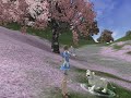 ラペルズ動画