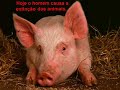 Proteção Animais