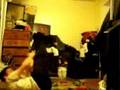 Flexibility Video