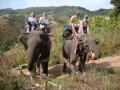 Chiang Rai p. 2 - Hill Tribe Trek