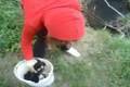 Girl THROWS PUPPIES in river! - YouTube