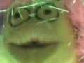 DAN DARIRU