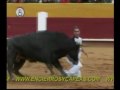 Encierros y Capeas DVD 2007