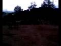 videos de Armenia BMX