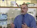 Using Chinese Mint to make Anti-Cancer drugs