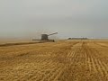 Harvest 09 with a Caseih 2388 @ Lundeby Farms
