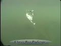 Fishing Lure Tips - Willowleaf SpinnerBait