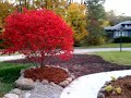 Renovated Detroit Property- Pontiac, MI