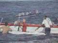 IRTF vs UKIRT - paddling, 2006