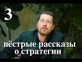 Лекция "Пестрые рассказы о Стратегии" 3