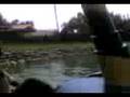 videos de el dia perfecto
