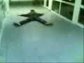sta raditi posle diskoteke ? sta raditi posle diskoteke ?