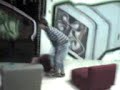 tio rodri