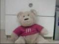 videos de GO TO THE STATIONARY STORE