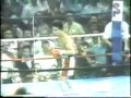 Wilfredo Gomez Tribute Part 1 Wilfredo Gomez Tribute Part 1