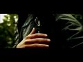 Short movie (XH A1 and SgPro)