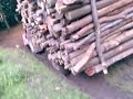 Zetor 7745 + vlek drift Zetor 7745 + vlek drift