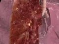 El largo viaje del humo por tus pulmones
