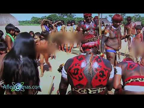 Jovencitas mamando y cojiendo