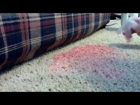 how to remove stains from a carpet
