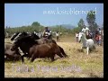 Trilla a yegua suelta