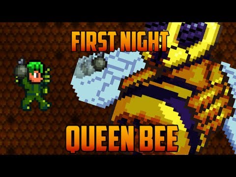 how to locate a queen bee