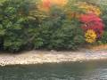 Kyoto ,Uji ,yamada1010,SANY0062