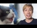 Котошок! （　ﾟДﾟ）[Catshock] | Просмотры: 2,163,841