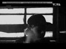 TokioHotel(preremix) TokioHotel(preremix)