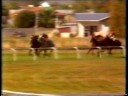 GREY WAY (NZ) 1976 Awapuni Gold Cup GREY WAY (NZ) 1976 Awapuni Gold Cup