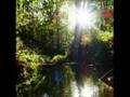 fairyland