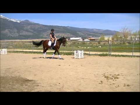 bike sales bike sales