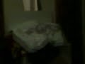 shalorna singing smelly washin